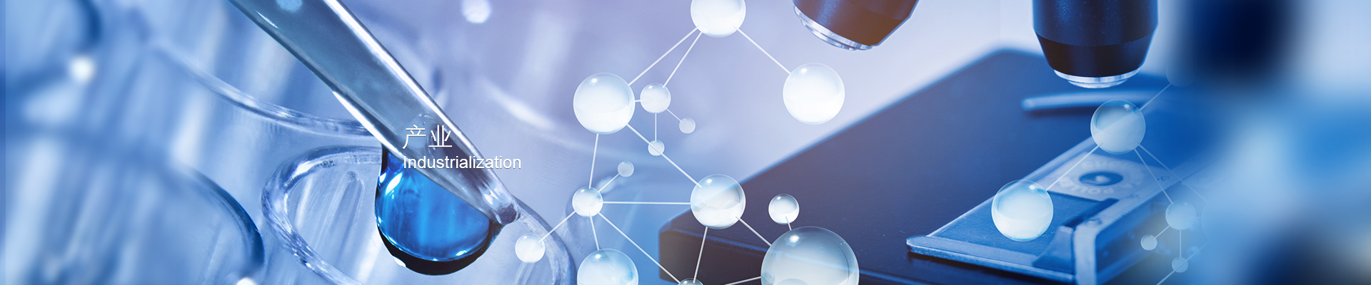 2121�Ƿ���(�й���)�����ٷ���վ